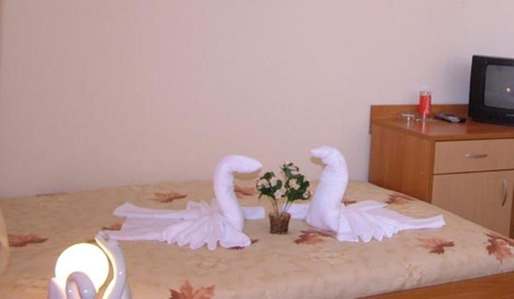 איוואילובגרד Family Hotel St. Constantine And Helena מראה חיצוני תמונה